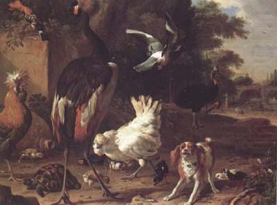 Birds and a Spaniel in a Garden (mk25), Melchior de Hondecoeter